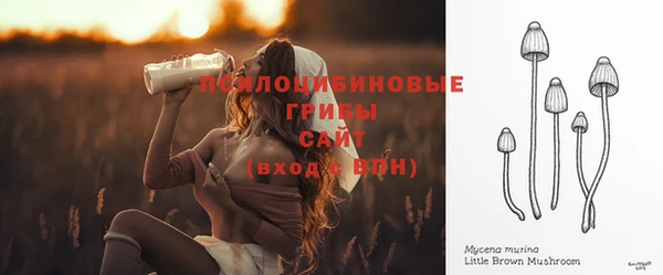 стафф Аркадак