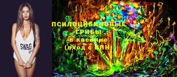 стафф Аркадак