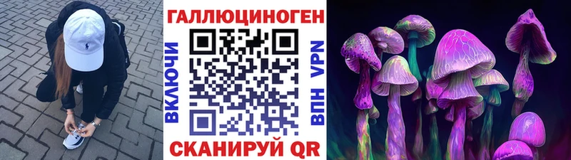 Псилоцибиновые грибы ЛСД  kraken ССЫЛКА  Петухово 